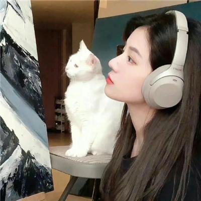 巧盗美人心